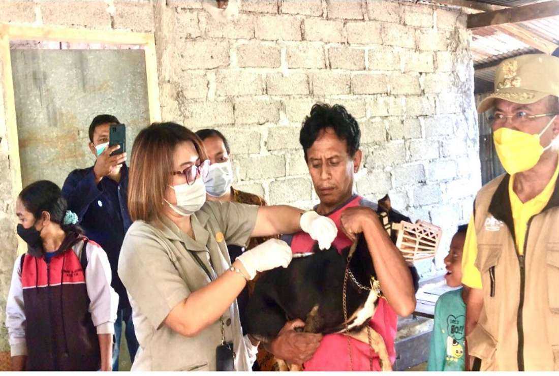 A health officer from Indonesia's agriculture ministry administers vaccine to a dog in East Nusa Tenggara province after rabies outbreak in the past week